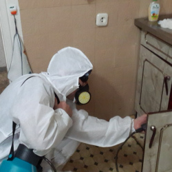 Дезинфекция от муравьев в квартире в Суровикино