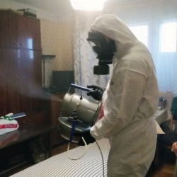 Дезинфекция от клопов в Суровикино