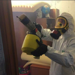 Уничтожение клопов в квартире. Суровикино